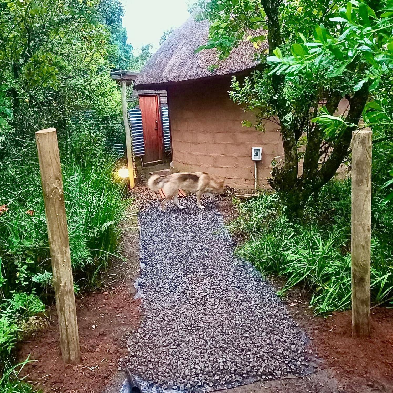 Drakensberg Inkosana Lodge Champagne Valley Eksteriør bilde