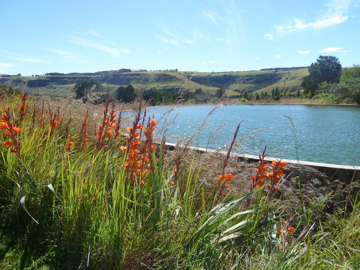 Drakensberg Inkosana Lodge Champagne Valley Eksteriør bilde