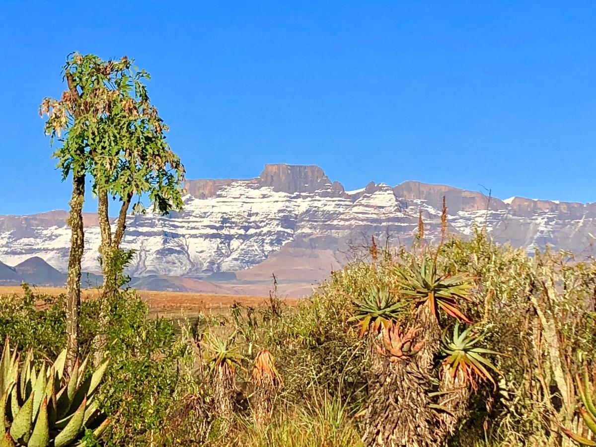 Drakensberg Inkosana Lodge Champagne Valley Eksteriør bilde